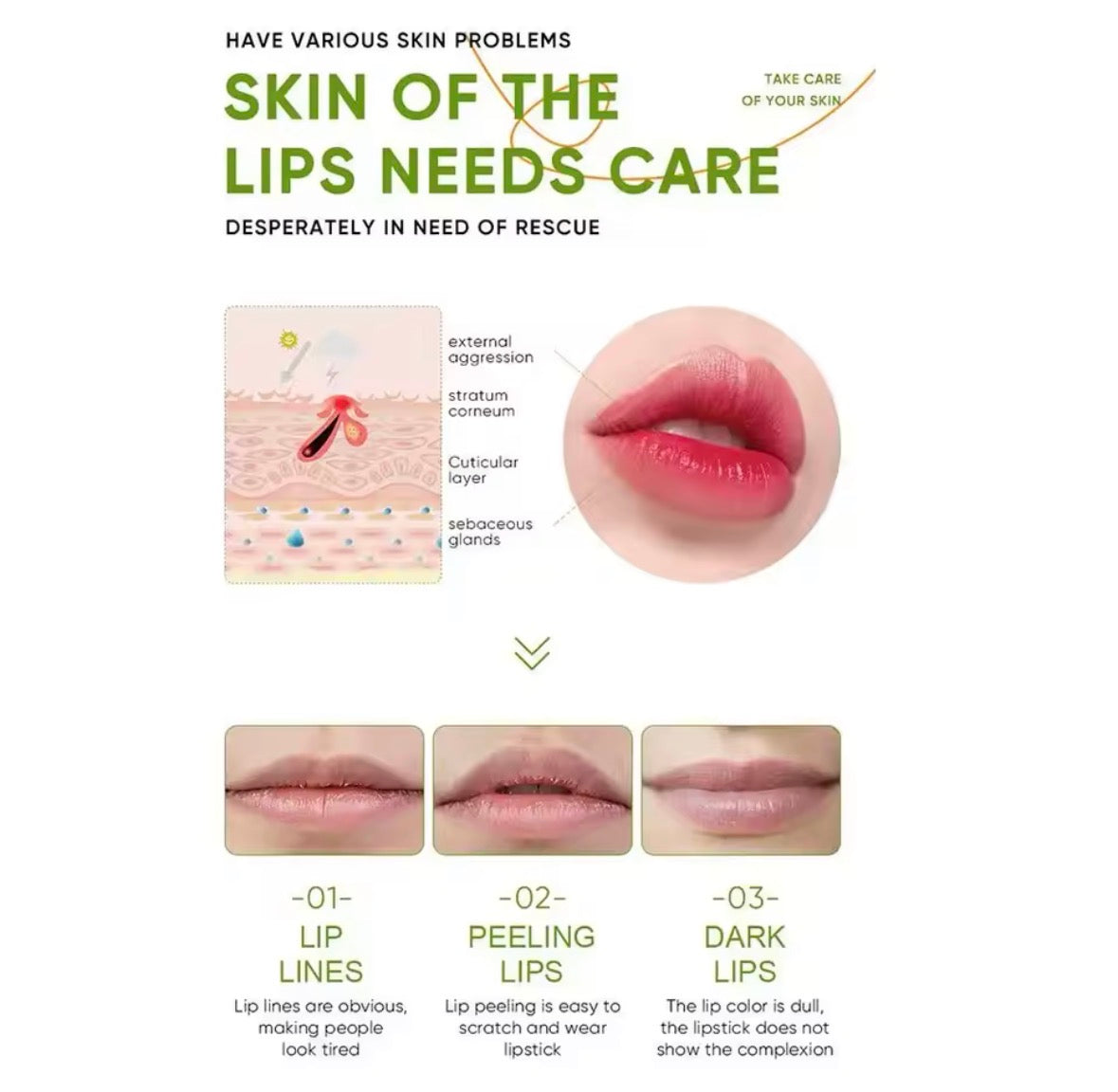 Aloe Vera Lip Balm